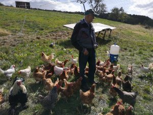 IMG_20190919_130901_1