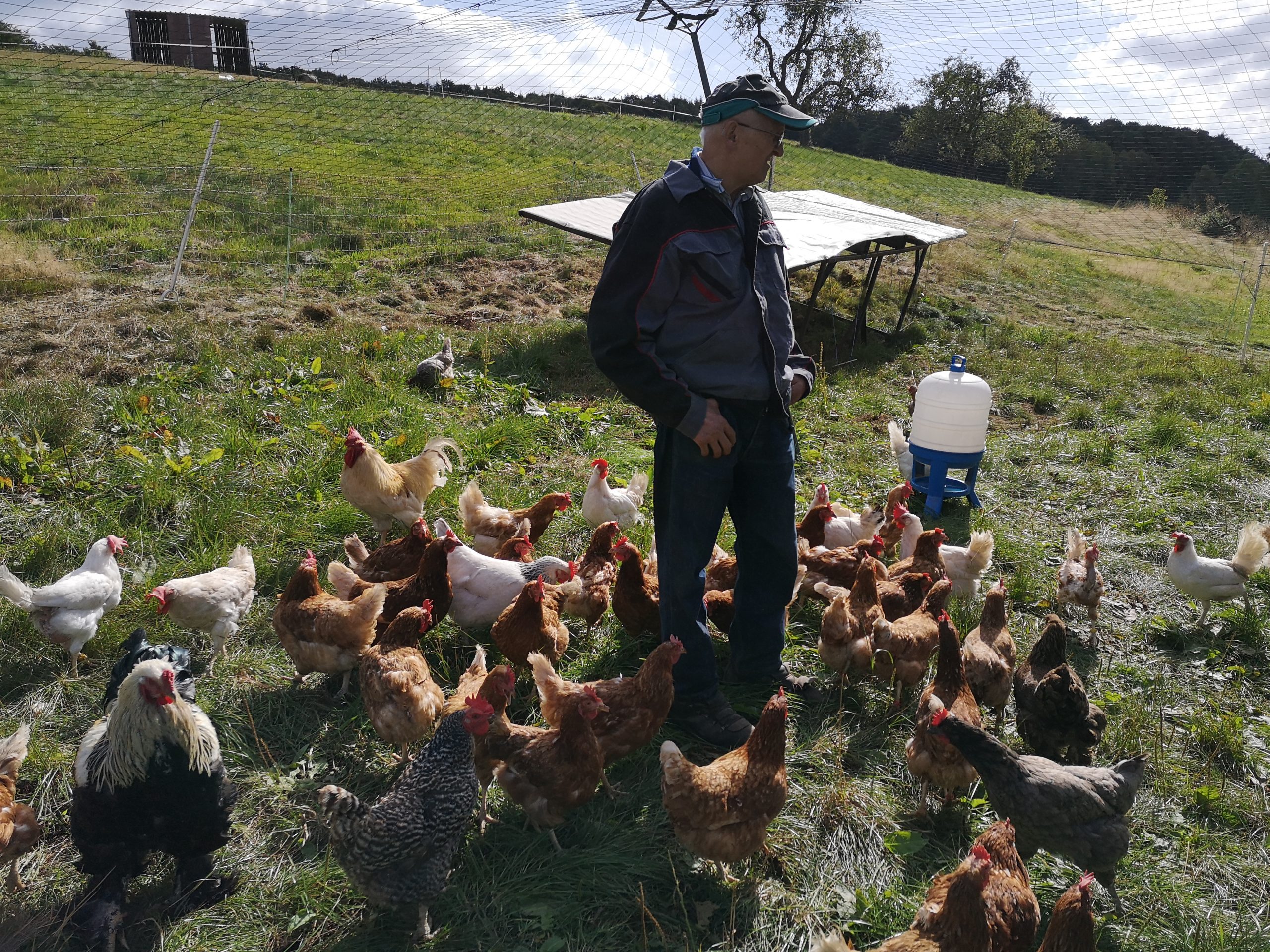 IMG_20190919_130901_1