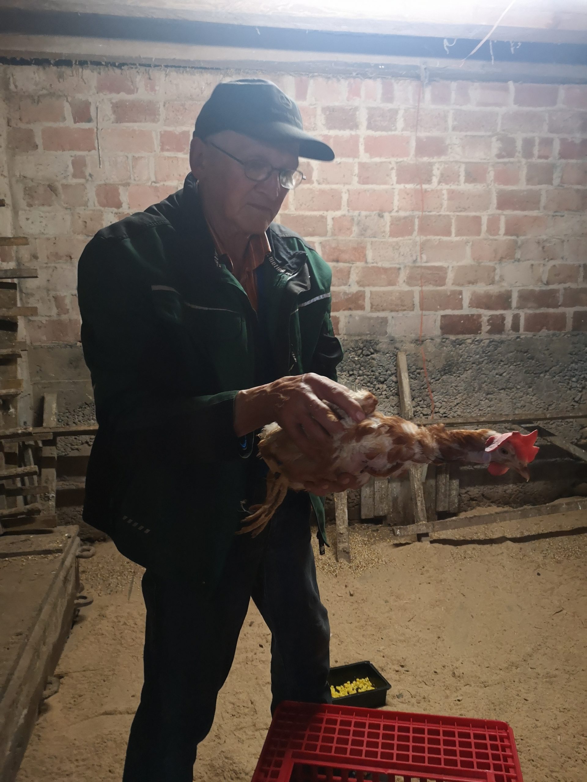 IMG_20210717_201612_1