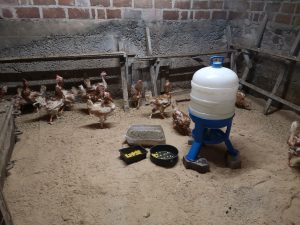 IMG_20210717_202514_1