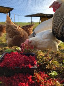 signal-2020-01-27-153822-2