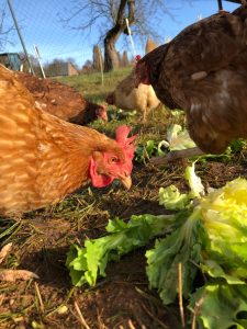 signal-2020-01-27-153822-3