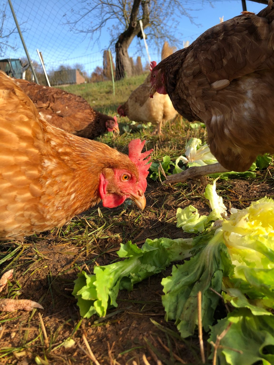 signal-2020-01-27-153822-3